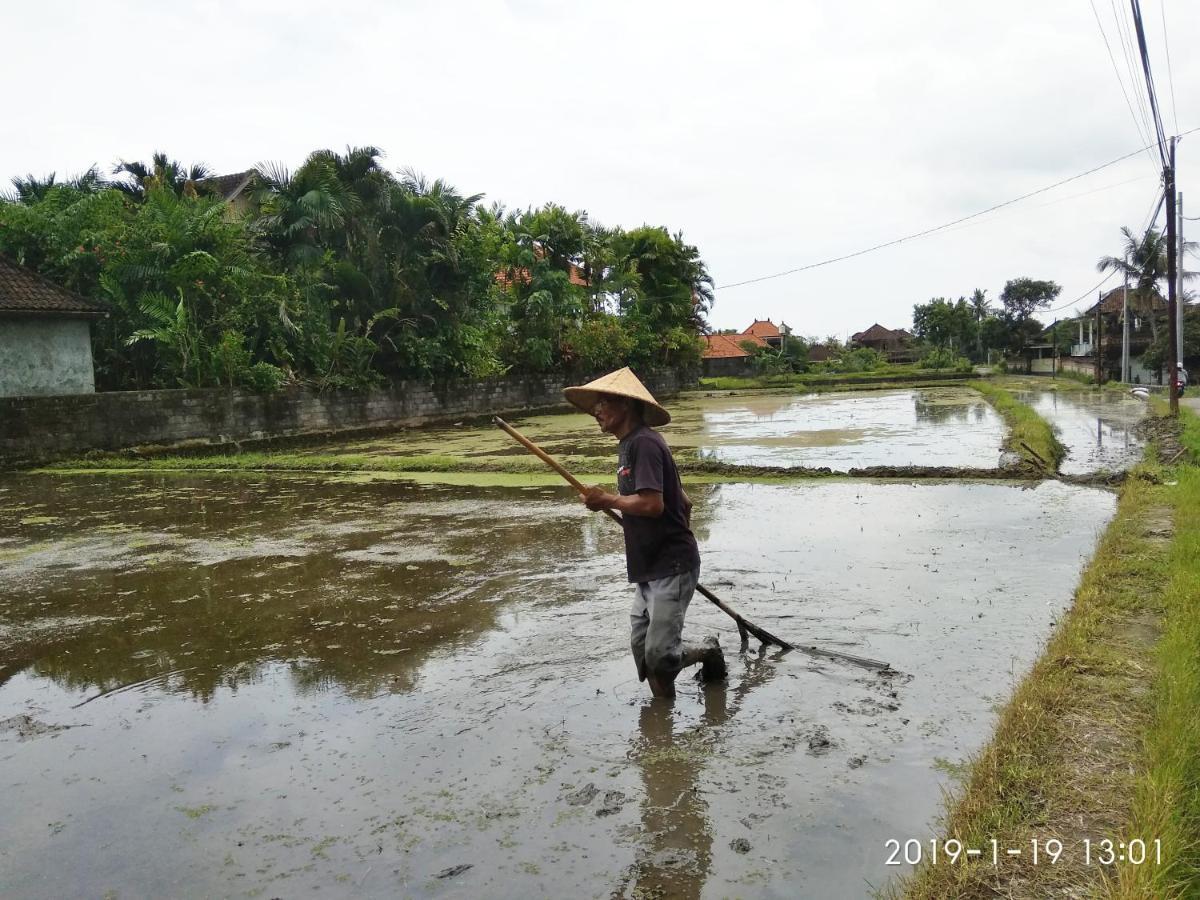 Bhuana Alit 2 Ubud Εξωτερικό φωτογραφία