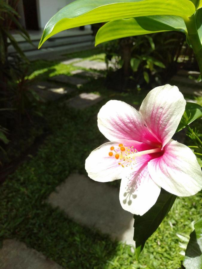 Bhuana Alit 2 Ubud Εξωτερικό φωτογραφία